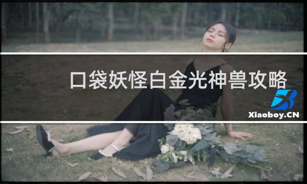 口袋妖怪白金光神兽攻略