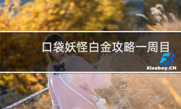 口袋妖怪白金攻略一周目