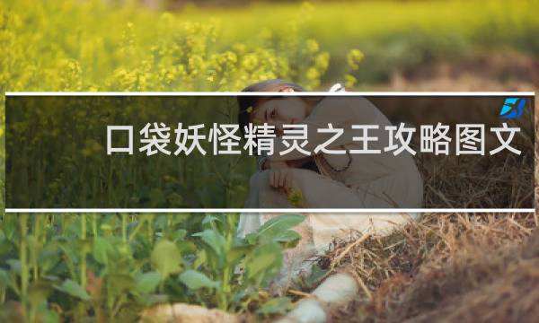 口袋妖怪精灵之王攻略图文