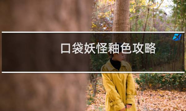 口袋妖怪釉色攻略.
