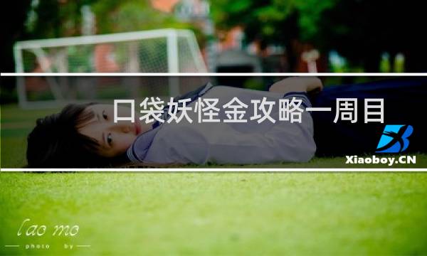 口袋妖怪金攻略一周目