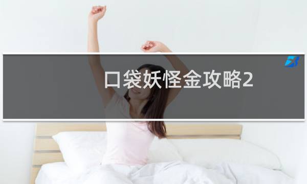 口袋妖怪金攻略2