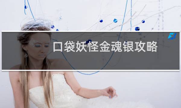 口袋妖怪金魂银攻略