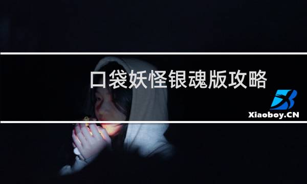 口袋妖怪银魂版攻略