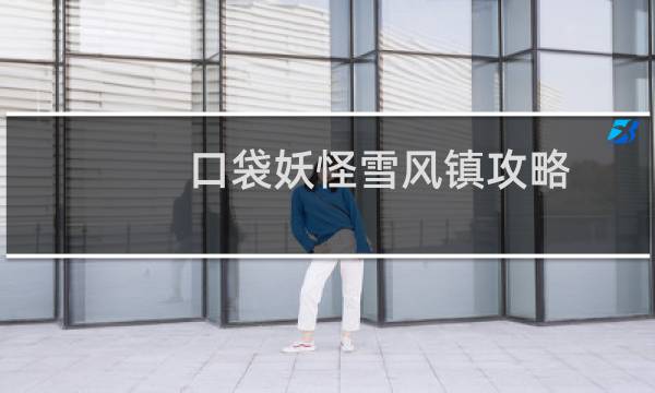 口袋妖怪雪风镇攻略