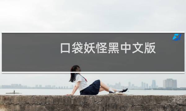 口袋妖怪黑中文版 攻略
