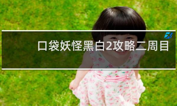 口袋妖怪黑白2攻略二周目