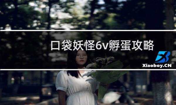 口袋妖怪6v孵蛋攻略