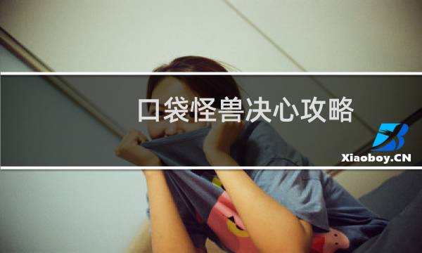 口袋怪兽决心攻略