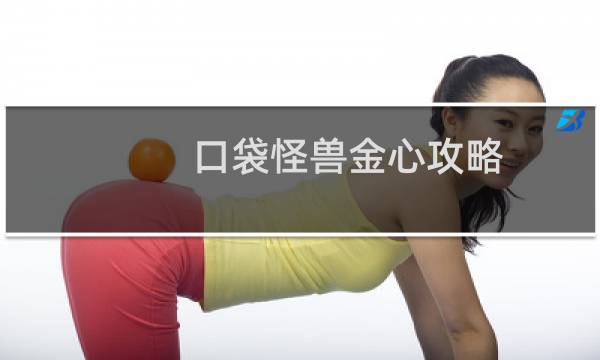 口袋怪兽金心攻略