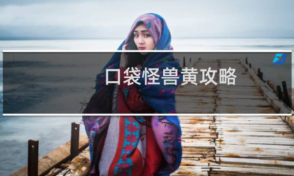 口袋怪兽黄攻略