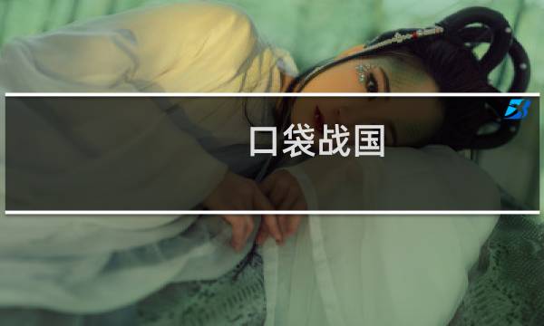 口袋战国 攻略