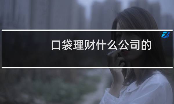 口袋理财什么公司的