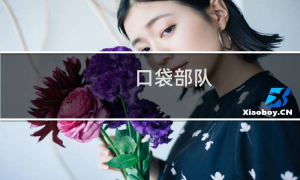 口袋部队 新手攻略