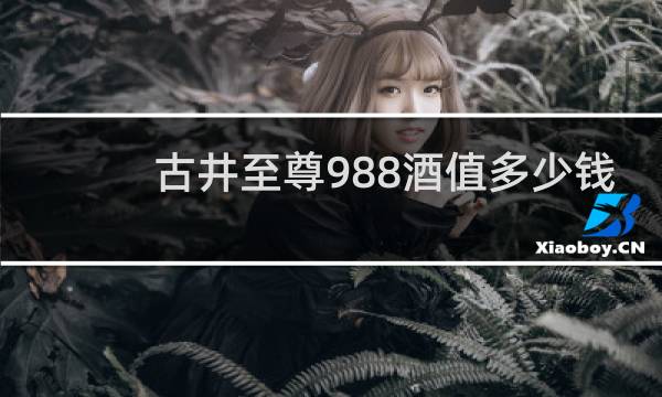 古井至尊988酒值多少钱
