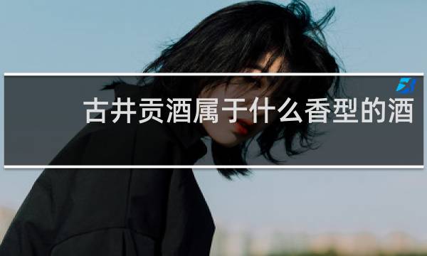 古井贡酒属于什么香型的酒
