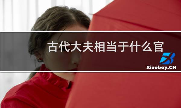 古代大夫相当于什么官