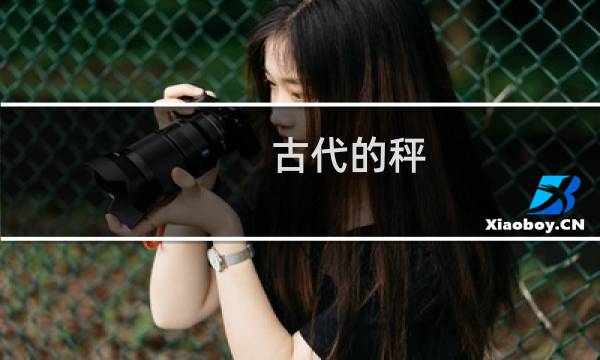 古代的秤 价格