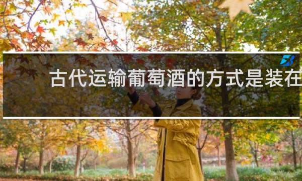 古代运输葡萄酒的方式是装在?