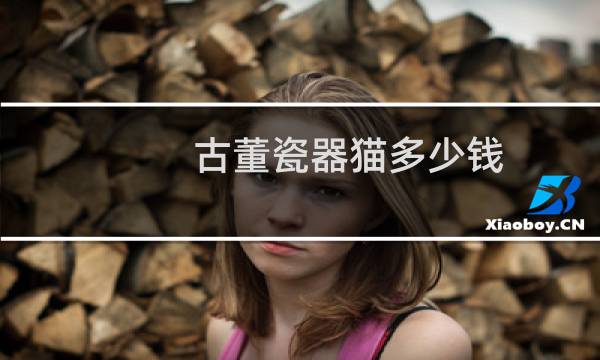 古董瓷器猫多少钱