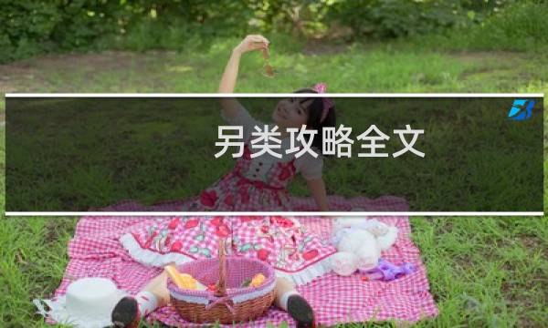 另类攻略全文