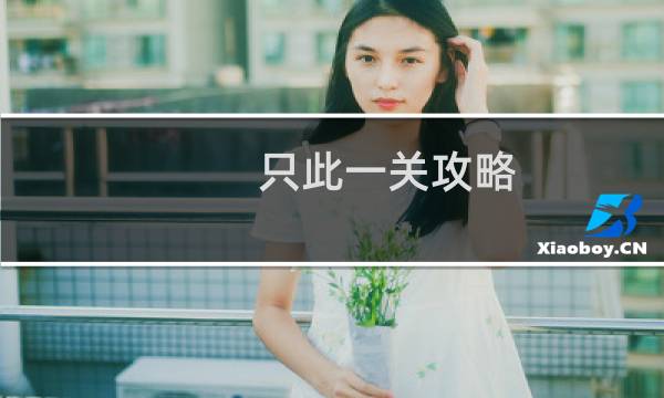只此一关攻略