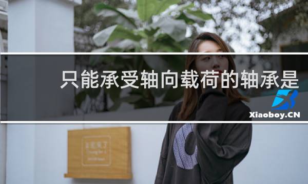 只能承受轴向载荷的轴承是