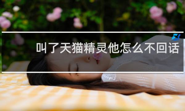 叫了天貓精靈他怎么不回話