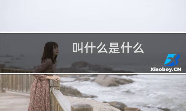 叫什么是什么