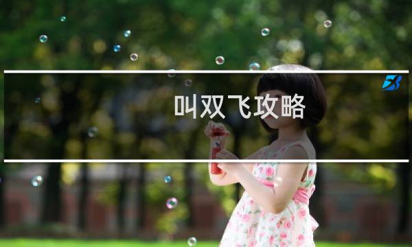 叫双飞攻略