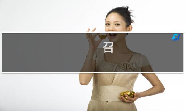 召  攻略