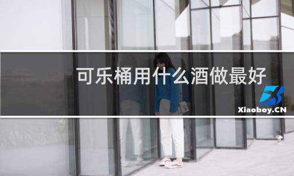 可乐桶用什么酒做最好