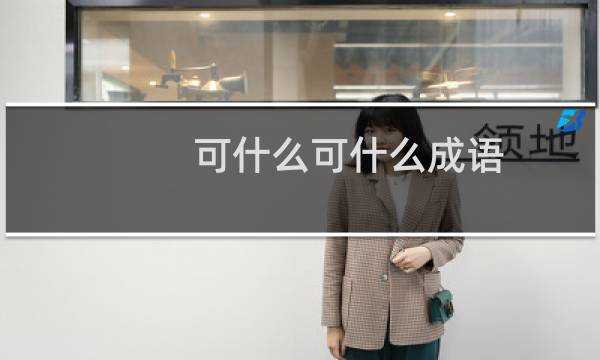 可什么可什么成语