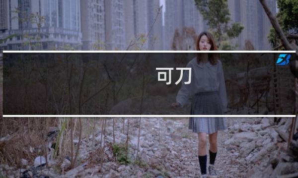 可刀 刀多少人民币