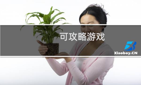 可攻略游戏