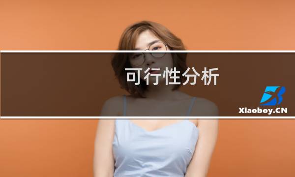 可行性分析 英文
