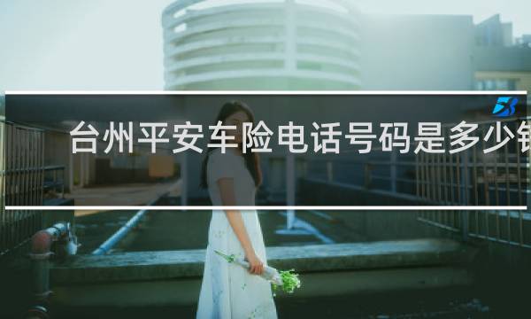 台州平安车险电话号码是多少钱