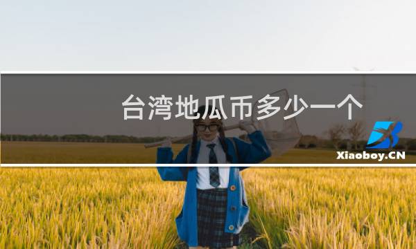 台湾地瓜币多少一个