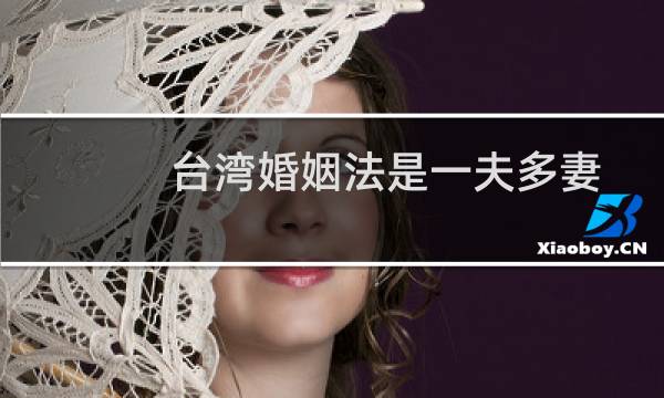 台湾婚姻法是一夫多妻
