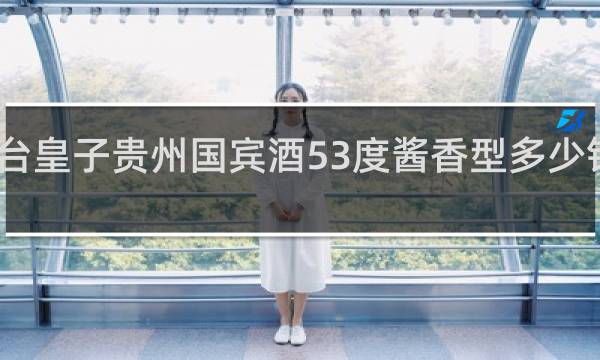 台皇子贵州国宾酒53度酱香型多少钱一瓶