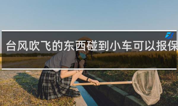 台风吹飞的东西碰到小车可以报保险吗