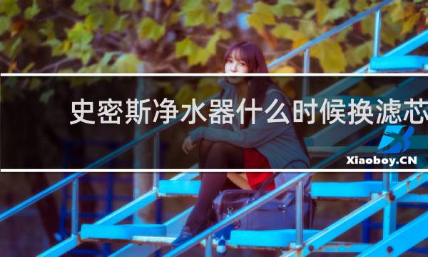 史密斯净水器什么时候换滤芯