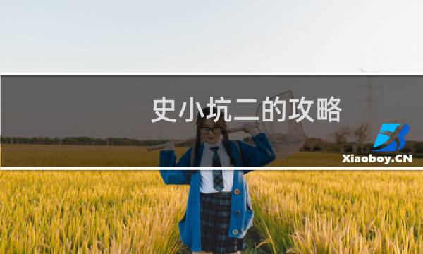 史小坑二的攻略