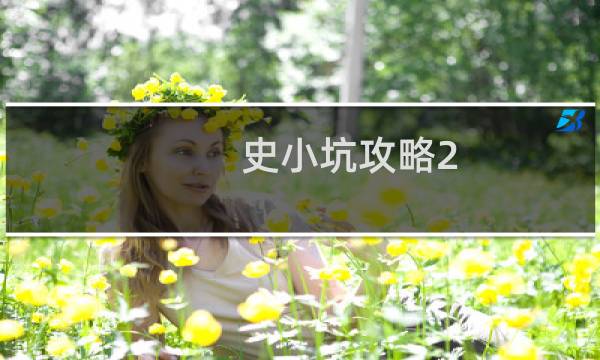 史小坑攻略2