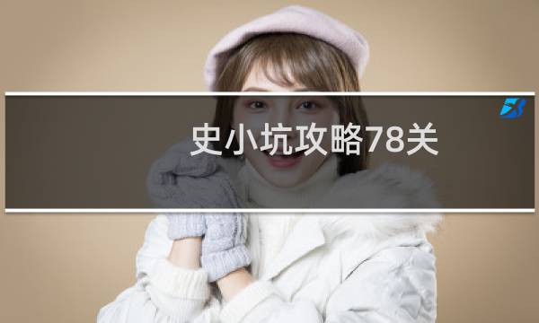 史小坑攻略78关