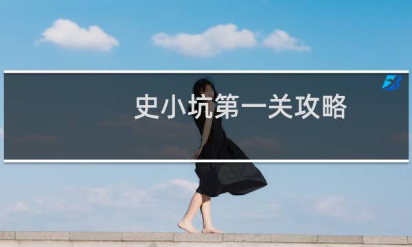 史小坑第一关攻略