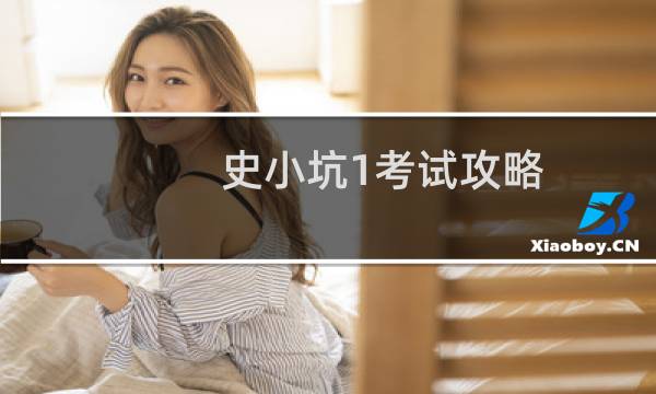 史小坑1考试攻略