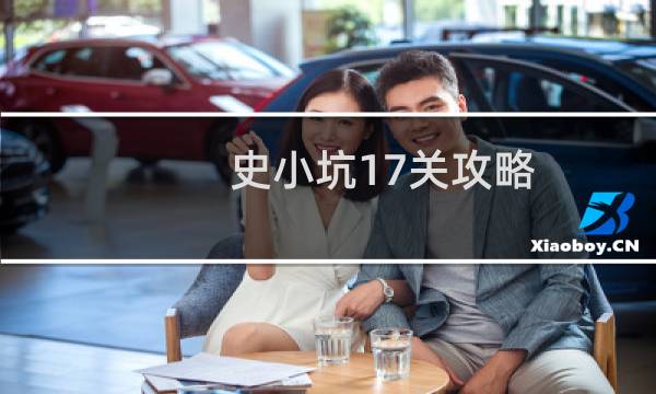 史小坑17关攻略