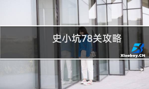 史小坑78关攻略