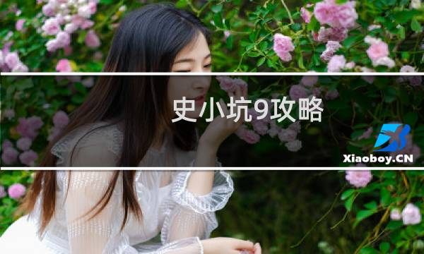 史小坑9攻略